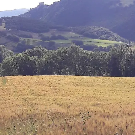 בית חווה San Pietro Castiglione dʼOrcia