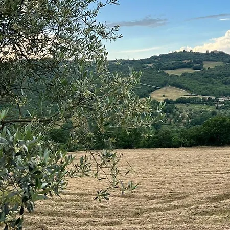 Alojamento de Turismo Rural San Pietro *